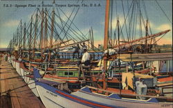 Sponge Fleet In Harbor Tarpon Springs, FL Postcard Postcard