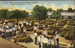 Sales In Progress At The Sponge Exchange Tarpon Springs, FL Postcard Postcard