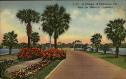 A Glimpse Of Clearwater Postcard