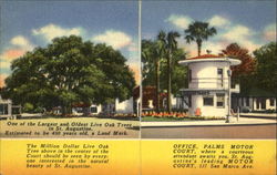 Explore St. Augustine Florida Postcard Postcard