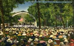 Williams Park And Bandstand Postcard