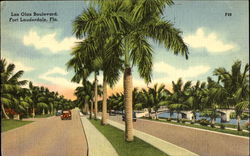 Las Olas Boulevard Postcard