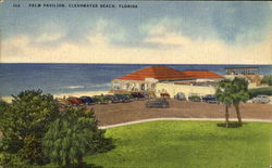 Palm Pavilion Clearwater Beach, FL Postcard Postcard