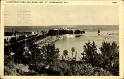 Waterfront Park And Tampa Bay Postcard