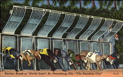 Perfect Break At Derby Lane St. Petersburg, FL Postcard Postcard