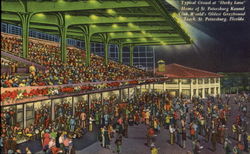 Typical Crowd At Derby Lane St. Petersburg, FL Postcard Postcard