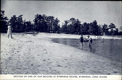 Section Of One Of Our Beaches At Riverhead Estates New York Postcard Postcard