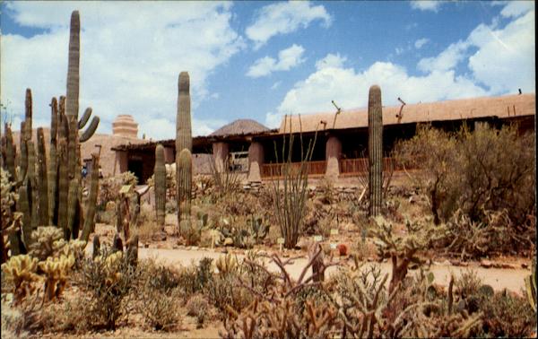 Arizona-Sonora Desert Museum Tucson
