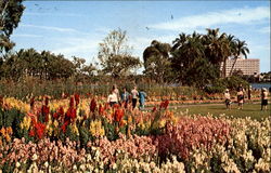Lake Eola Postcard