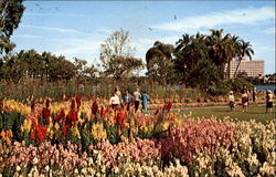 Lake Eola Orlando, FL Postcard Postcard