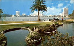 Looking North Across Lake Eola Postcard