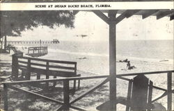 Scene At Indian Rocks Beach Florida Postcard Postcard
