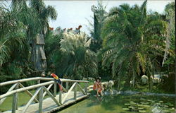 Tiki Gardens Postcard