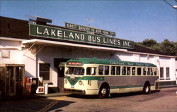 Lakeland Bus Lines Buses Postcard Postcard