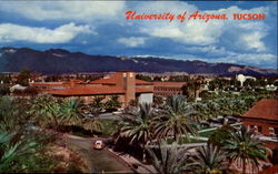 University Of Arizona Postcard