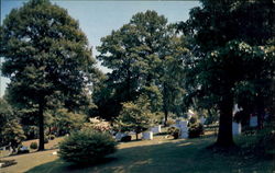 Hastings - On-Hudson Postcard