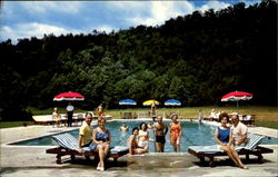 Vineyard Lodge Postcard