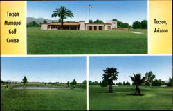 Tucson Municipal Golf Course Postcard