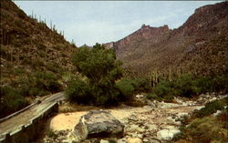 Sabino Canyon Postcard