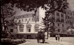 The Princess Hotel And Cottage Colony Hamilton, Bermuda Postcard Postcard