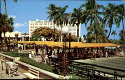 Shuffleboard In The Sunshine West Palm Beach, FL Postcard Postcard
