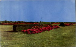 Rockingham Park Postcard