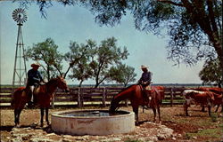 Mexican Vaquero Horses Postcard Postcard