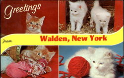 Stock #134166 Thumbnail