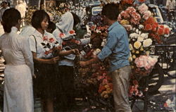 Flower Street Postcard