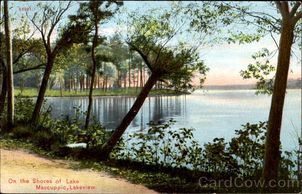 On The Shores Of Lake Mascuppic Lakeview Illinois