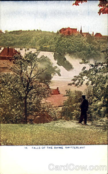 Falls Of The Rhine Switzerland