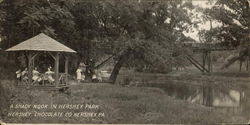 A Shady Nook In Hershey Park A Shady Nook In Hershey Park