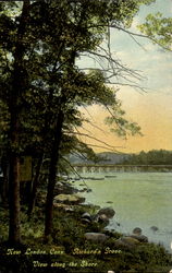 Richard's Grove View Along The Shore Postcard