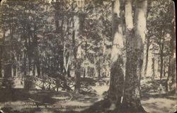 Stock #134272 Thumbnail