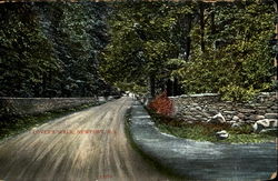 Lover's Walk Postcard