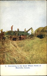 Harvesting In The Great Wheat Fields Manitoba Canada Postcard Postcard