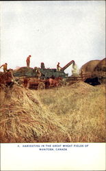 Harvesting In The Great Wheat Fields Postcard