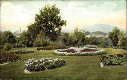 View Among The Flower Beds, Downing Park Postcard