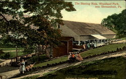 The Skating Rink, Woodland Park Postcard