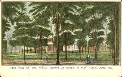East View Of The Public Square Or Green Postcard