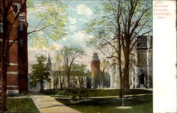 Harvard Grounds Postcard