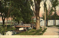 Rustic Bridge, Eldridge Park Elmira, NY Postcard Postcard