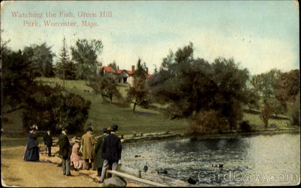 Watching The Fish, Green Hill Park Worcester Massachusetts