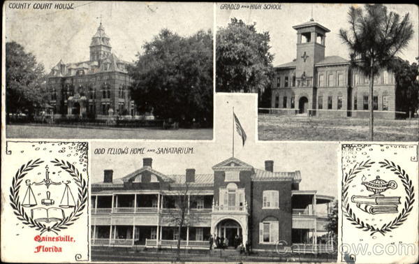 Qainesville Gainesville Florida