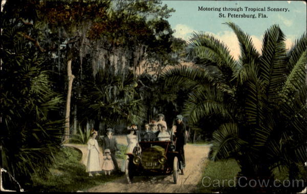 Motoring Through Tropical Scenery St. Petersburg Florida