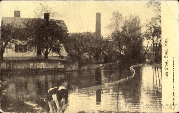 Falls Brook Essex Massachusetts
