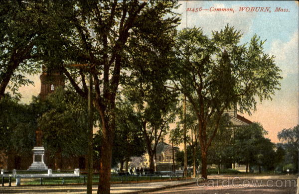 Common Woburn Massachusetts