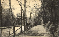 The Dogway Along The Housatonic River Postcard