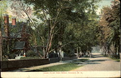 Upper North State Street Postcard