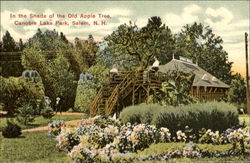 In The Shade Of The Old Apple Tree, Canobie Lake Park Postcard